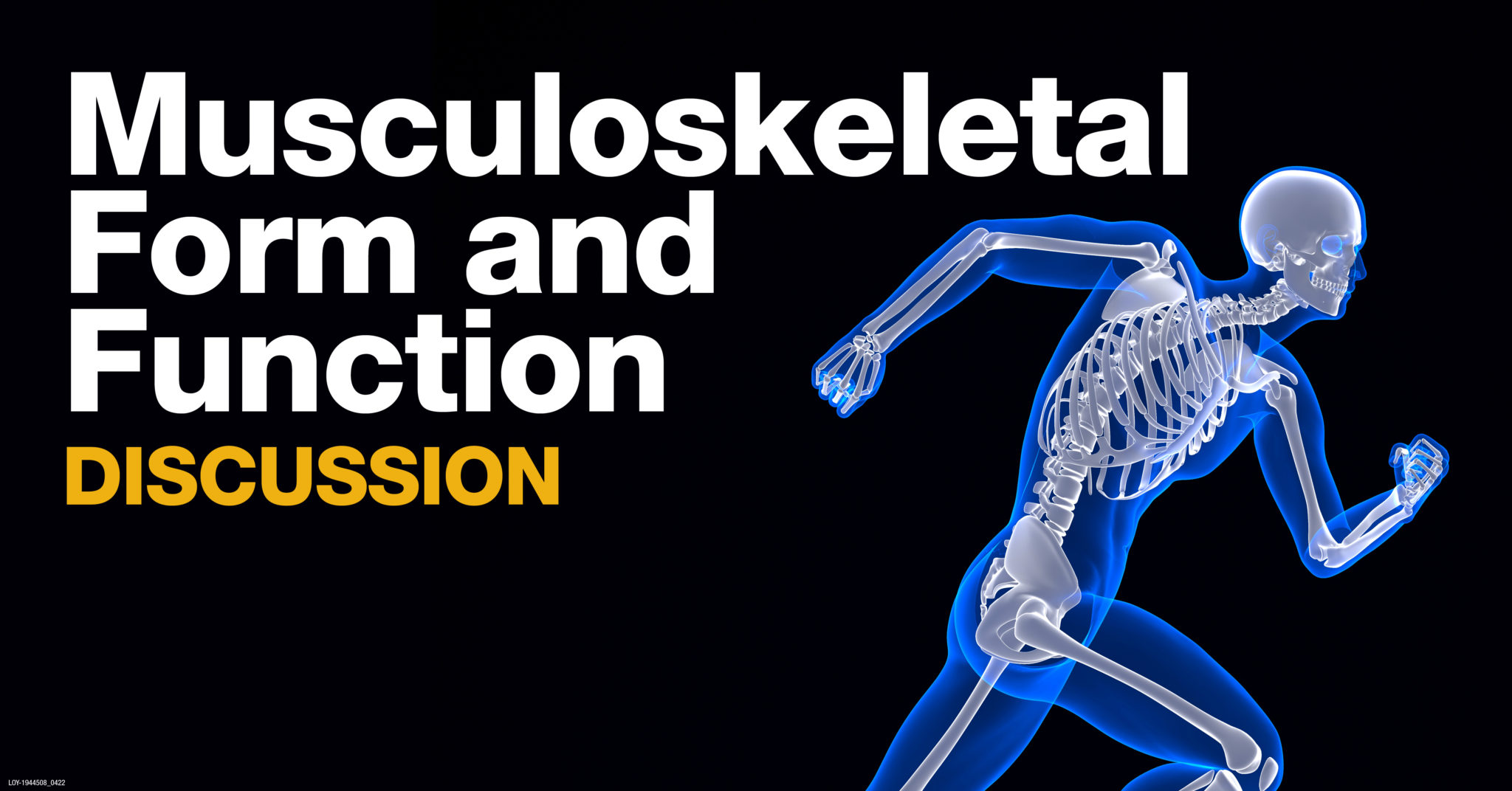 Musculoskeletal Form and Function Discussion