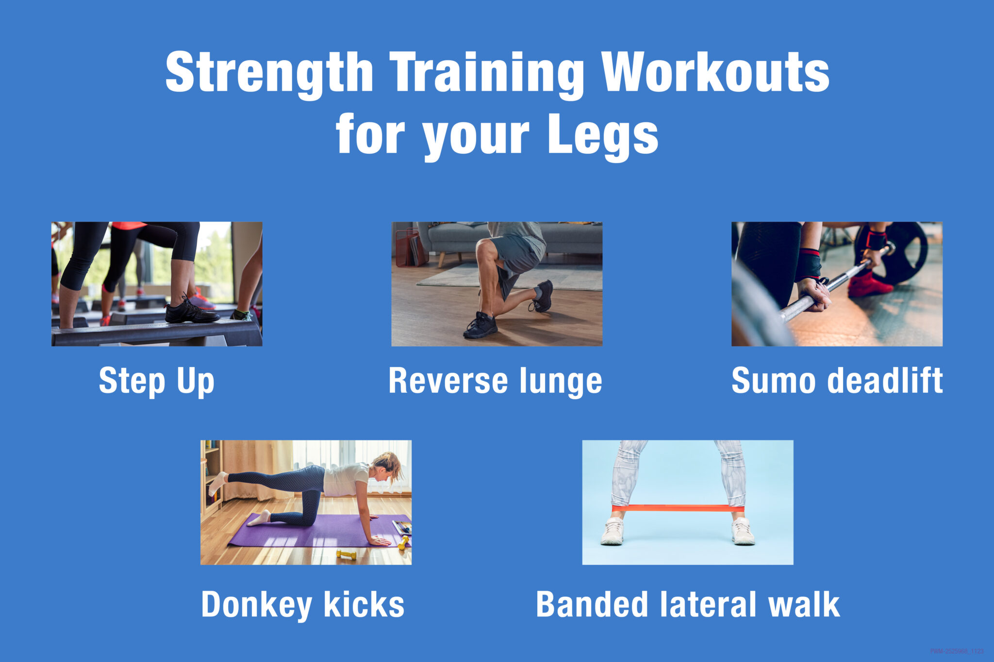 leg strength workouts